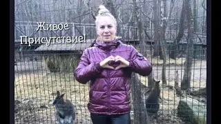 ЖИВОЕ ПРИСУТСТВИЕ