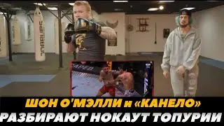 Шон О Мэлли разбирает нокаут Топурии /  Как Илия Топурия нокаутировал Макса | FightSpaceMMA