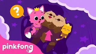 Fun Facts about Animal Sleeping Habits | Learn with Pinkfong & Baby Shark | Pinkfong for Kids