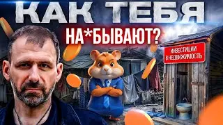 Как хомяк захватил Россию? Хватит быть лохом! Почему Hamster kombat - путь к бедности? Игорь Рыбаков