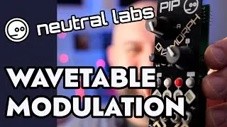 Neutral Labs Pip | Complex Wavetable Modulation