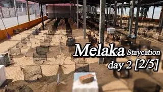 Melaka Staycation - Turtle Conservation & Information Centre | Day 2 [2/5]