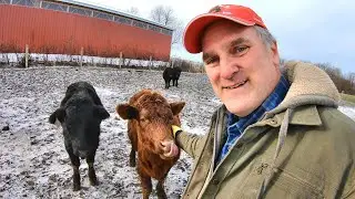 Winter on a Small Farm