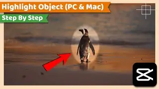 Highlight Object or Area of a Video | CapCut PC Tutorial