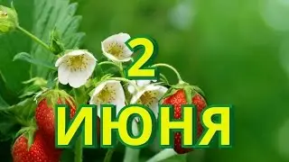 2 июня День здорового питания и другие праздники..