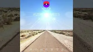 Audio Junkies - Sun Gazing