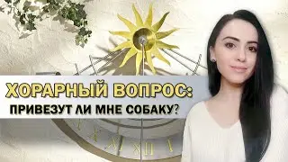 Привезут ли собаку? Хорарный вопрос // Любовь Моралиева // Школа Хорарной Астрологии Юлии Береговой