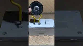 5 watt speaker vs. (220V) Electricity #experiment #shorts