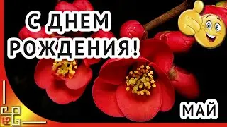 С днем рождения тебя! Поздравление для всех у кого ДЕНЬ РОЖДЕНИЯ в МАЕ