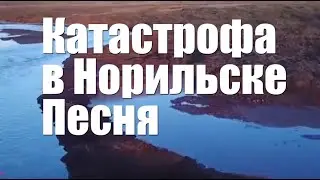 Разлив нефти в Норильске  Дед Архимед