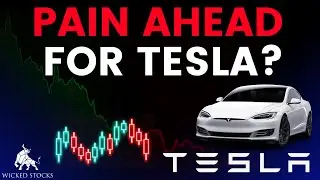 Tesla Stock Price Analysis | Top Levels To Watch for Thursday, August 8th 2024