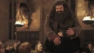 (Harry Potter) Rubeus Hagrid - Lighthouse