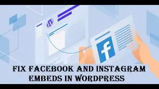 Fix Facebook or Instagram Embeds Not Working on your WordPress site