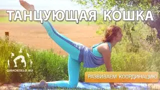 Танцующая КОШКА / Упражнения для позвоночника