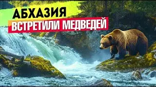 АБХАЗИЯ - ЖЕСТЬ!!! ВСТРЕТИЛИ МЕДВЕДЕЙ! Черниговка Ольгинские водопады Сухум Каманы