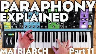 Paraphony Modes Explained! | Part 11 | Moog Matriarch Tutorial