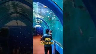 fish aquarium vaijag #sm6tv