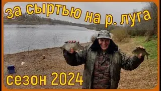 За СЫРТЬЮ  ВИМБОЙ  на р.ЛУГА . Открытие СЕЗОНА 2024.