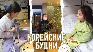 Наши корейские будни / Щенок Сиба Ину один дома, скрытая камера / KOREA VLOG