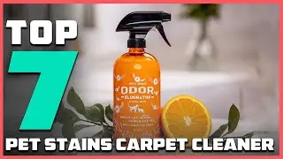 Cleaner Home, Happier Pets: 7 Best Carpet Cleaners