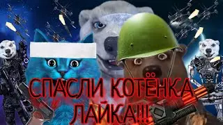 СПАСЛИ КОТЁНКА ЛАЙКА/Котёнок Лайк