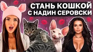 НАДИН СЕРОВСКИ - Создательница БОГИНЬ и КОШЕЧЕК (очередной Инстаразвод)