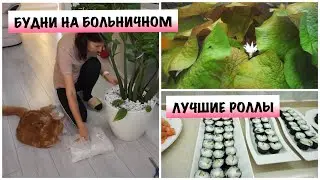 БУДНИ МАМЫ НА БОЛЬНИЧНОМ!! Роллы, как на Заказ / Домашние дела / Будни Мамы Влог