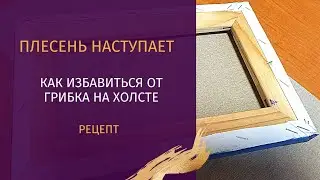 ПЛЕСЕНЬ НА ХОЛСТЕ😨 / Как избавиться от грибка - легкий рецепт