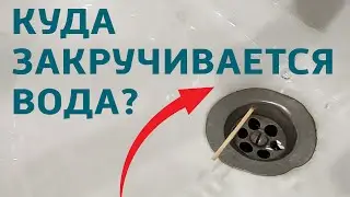 В какую сторону закручивается вода в северном и южном полушарии?