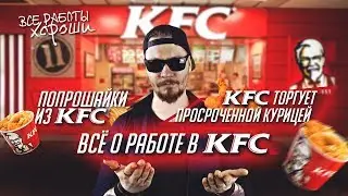 KFC торгует просроченной курицей. Все о работе в КФС. Попрошайки из KFC.