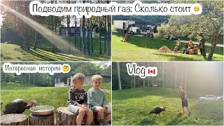 Подключение природного газа: Сколько стоит🤔 Новый питомец🦃🧐Тако на обед🌮 Наши именинники🎂