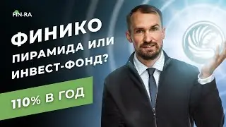 Финико — финансовая пирамида или инвестиционный фонд? Финико инвестиции // finiko