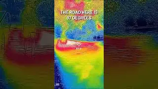 How trees help cool cities - exploring the heat island effect with a thermal camera