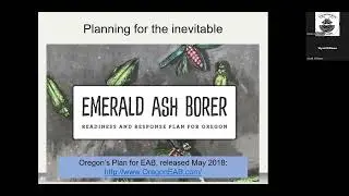 Emerald Ash Borer: A Threat to Oregon's Ash Trees