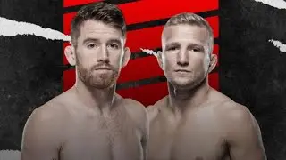 SANDHAGEN VS DILLASHAW - RESUMEN//HIGHLIGHTS