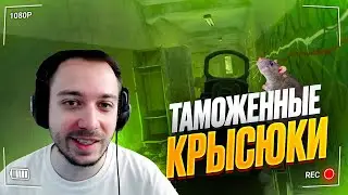 Тарков gameplay. ДЕКЛАССИРОВАЛ ОБЩАЖНЫХ КРЫСЮКОВ НЕ НА ОЧКЕ