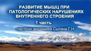 Божественное развитие мышц при патологических нарушениях внутреннего строения 1 часть