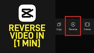 [1 MIN] How to Reverse a Video on Capcut Video Editor