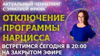 НАРЦИСС ПЛАНОМЕРНО ЛОМАЕТ ЛИЧНОСТЬ/ АКТУАЛЬНЫЙ ЧЕННЕЛИНГ С ЭМИЛИЕЙ ФРАНК/CURRENT CHANNELING