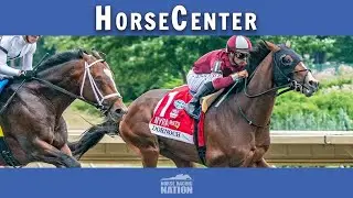 2024 Travers Stakes top picks, analysis, and wagers on HorseCenter