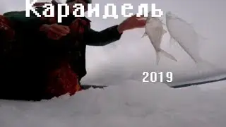 Караидель/2019