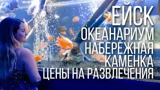 Ейск 🌊 Пляж Каменка 🏖️ Цены на развлечения 🎢 Океанариум 🦈Вино на розлив 🍷Шаурма от души 🥙