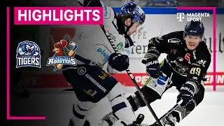 Straubing Tigers - Iserlohn Roosters | PENNY DEL | MAGENTA SPORT