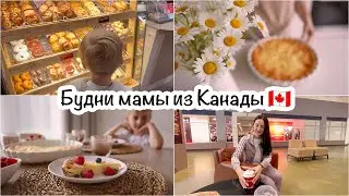 Будни мамы🇨🇦Творожная запеканка🥧Быстрый шопинг🛍Отправляем Еву в Оттаву🚗