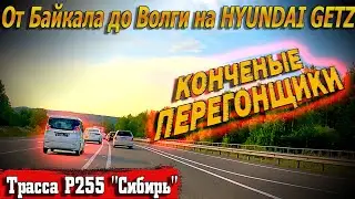 Видеоблог 