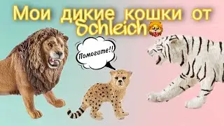 Обзор на моих диких кошек от Schleich 🐅🐆