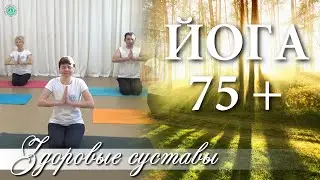 ЙОГА 75+ | Здоровые и Подвижные Суставы | Возрастная Йога