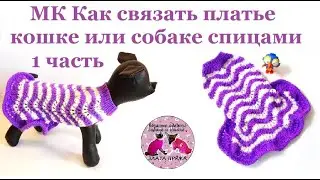 МК Как связать платье кошке или собаке спицами. 1 часть.