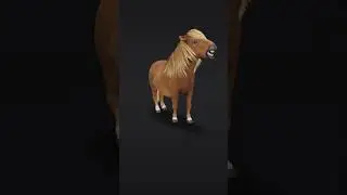 Pony 3D animation