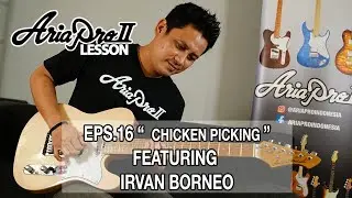 ARIA PRO - Lesson of the Day Eps. 16 - Chicken Picking! 